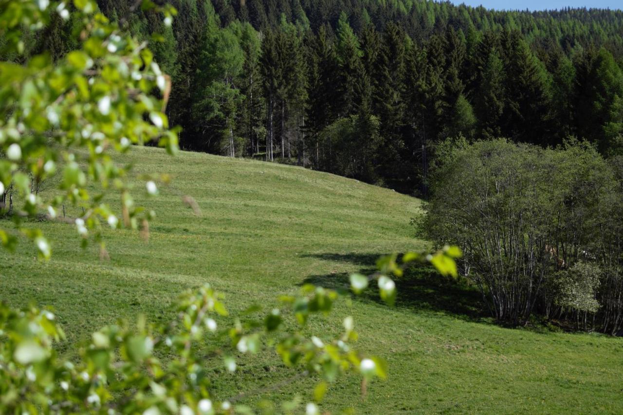 Landhaus Holzer Sankt Margarethen im Lungau Exteriör bild